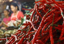 Harga Cabai Semakin Pedas Bertengger Di Level Rp50 Ribu/Kg