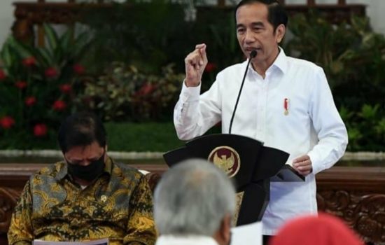Don Adam Usulkan Jokowi Keluarkan Keppres untuk Tetapkan Gibran dan Bobby Pemenang Pilkada